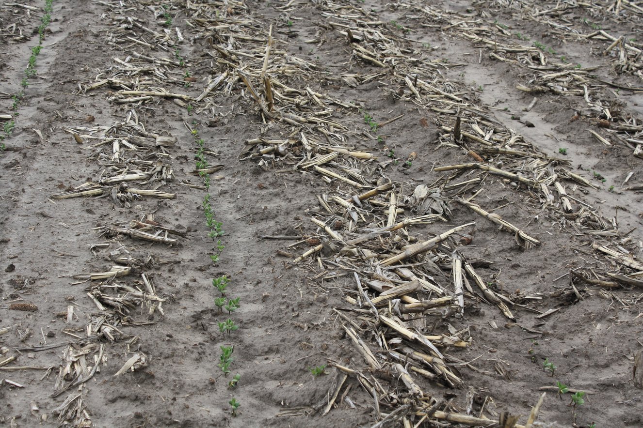 episode-4-winning-at-yield-with-conservation-tillage